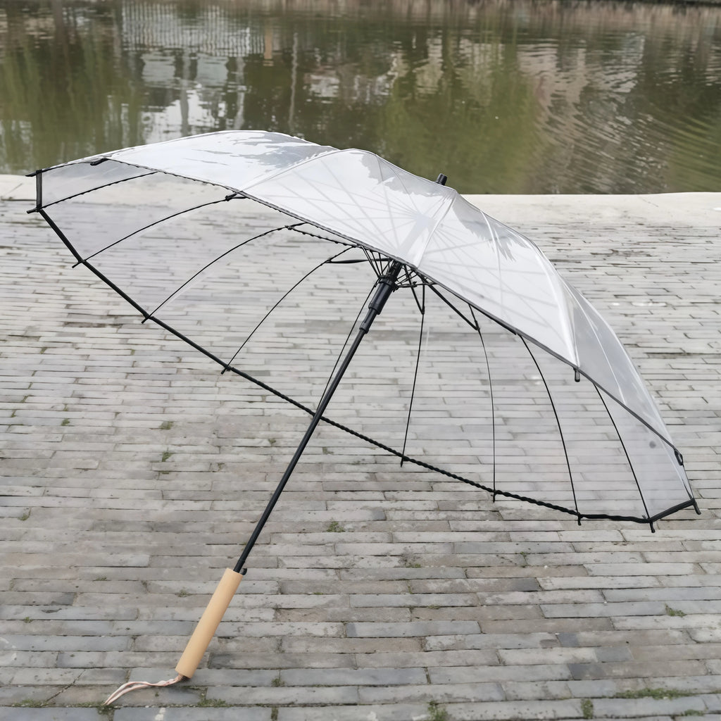 Korean Style Long Handle Automatic Umbrella Transparent Women's Curve Hook Couple's Popular Windproof Double Person Umbrella