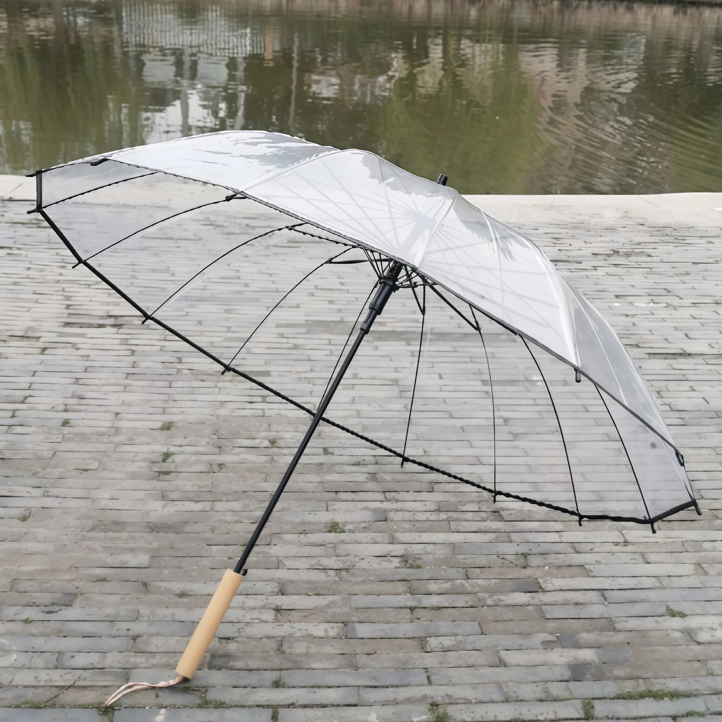Korean Style Long Handle Automatic Umbrella Transparent Women's Curve Hook Couple's Popular Windproof Double Person Umbrella