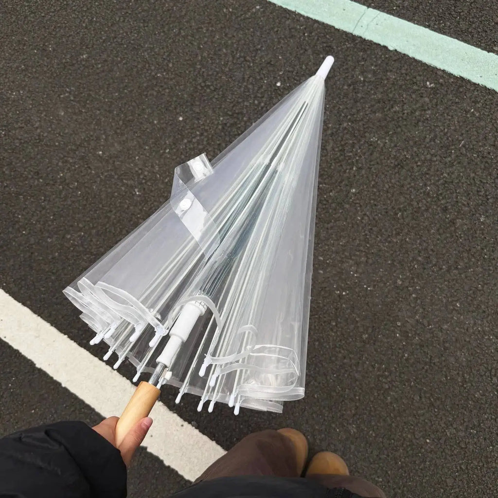 Korean Style Long Handle Automatic Umbrella Transparent Women's Curve Hook Couple's Popular Windproof Double Person Umbrella