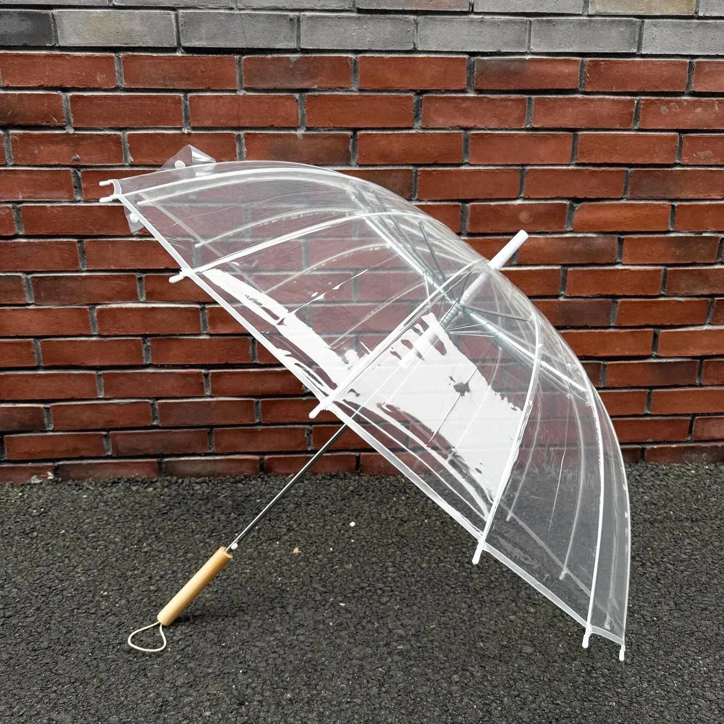 Korean Style Long Handle Automatic Umbrella Transparent Women's Curve Hook Couple's Popular Windproof Double Person Umbrella